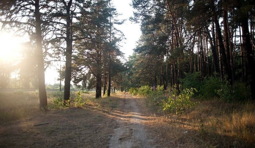 Біличанському лісу повернули незаконно відібрані землі