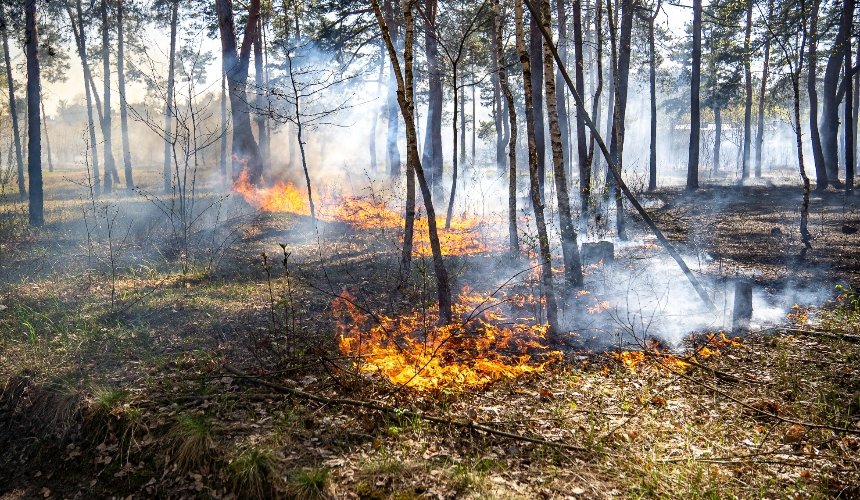 Метеорологи попереджають про високий рівень пожежної небезпеки на Київщині: дати
