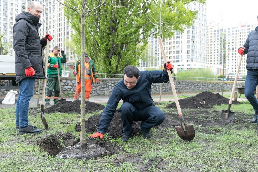 Весняне озеленення: з початку 2024 року в Києві висадили тисячі нових дерев, кущів та квітів