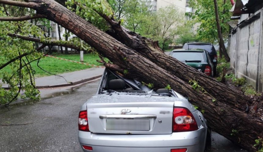 Наслідки негоди: скільки повалених дерев виявили у Києві протягом вихідних