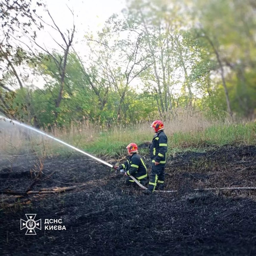 На Совських ставках у Солом’янському районі сталася пожежа