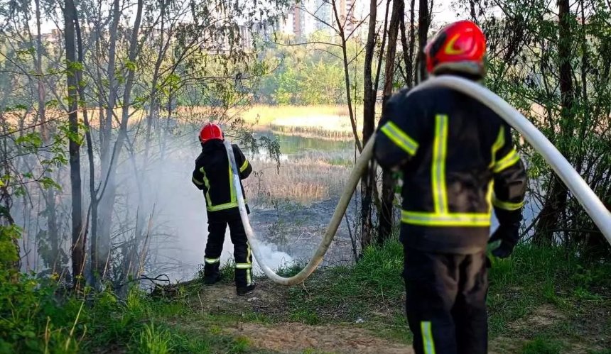 На Совських ставках у Солом’янському районі сталася пожежа: подробиці