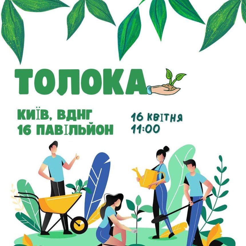 В Центрі адопції тварин на ВДНГ у Києві відбудеться толока: дата і час