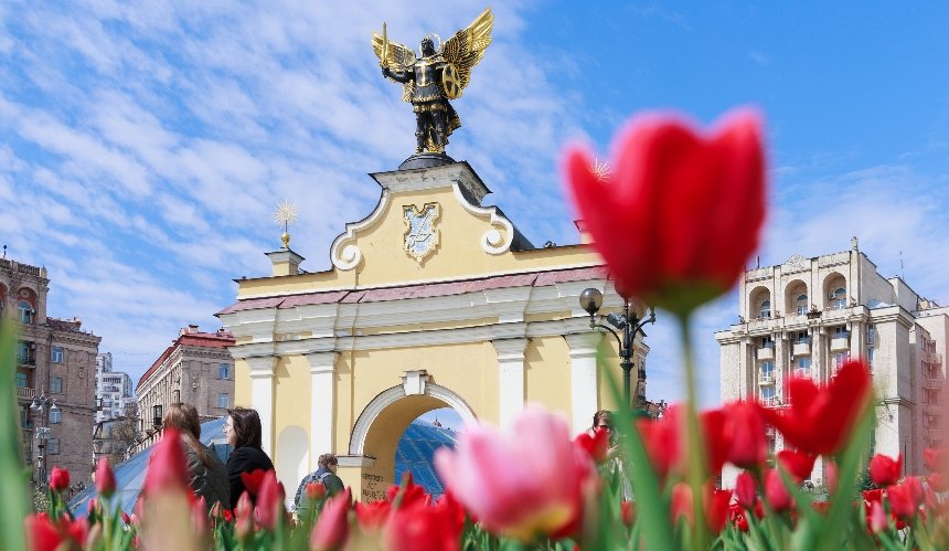 У Києві починають квітнути подаровані Нідерландами тюльпани
