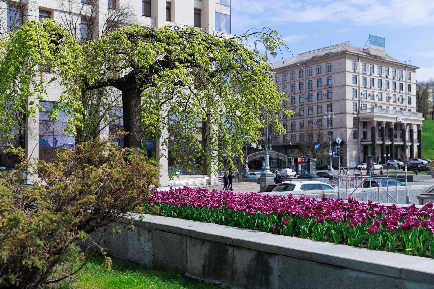Фото: КМДА