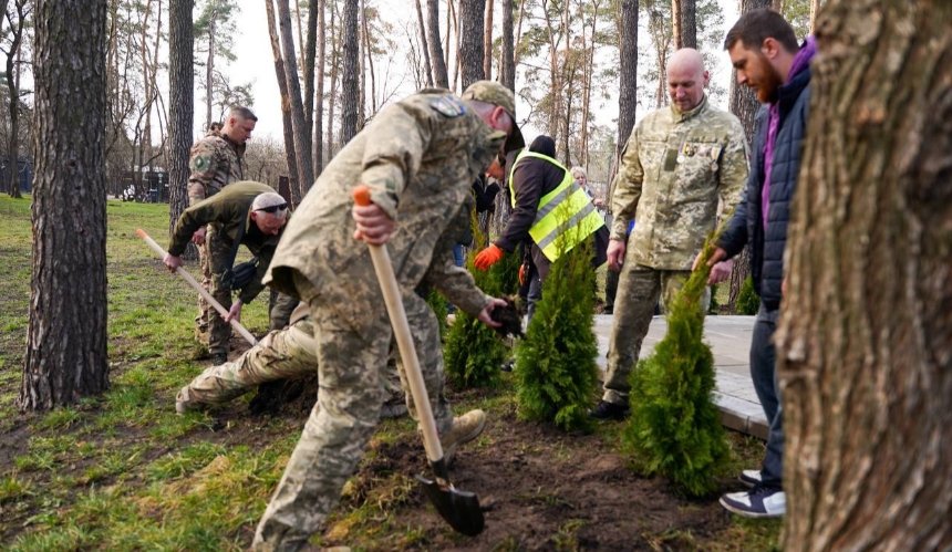 В Ірпені висадили алею туй у пам’ять про загиблих українських воїнів: фото
