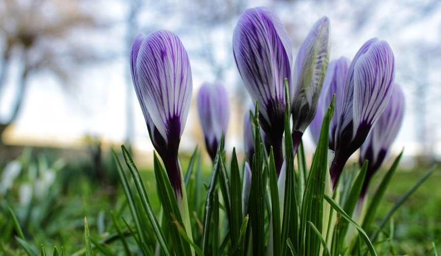 Сонячно, тепло: якою буде погода у Києві на вихідних