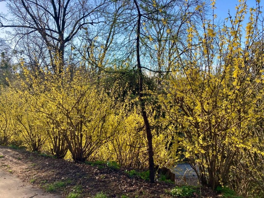 Фото: Наш Київ