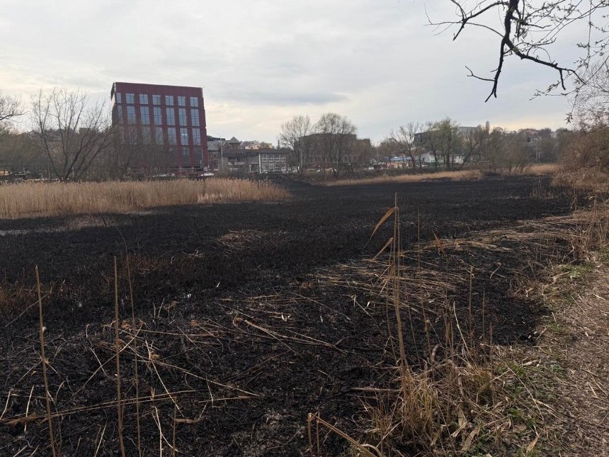 Фото: Дмитро Перов Фото: Дмитро Перов