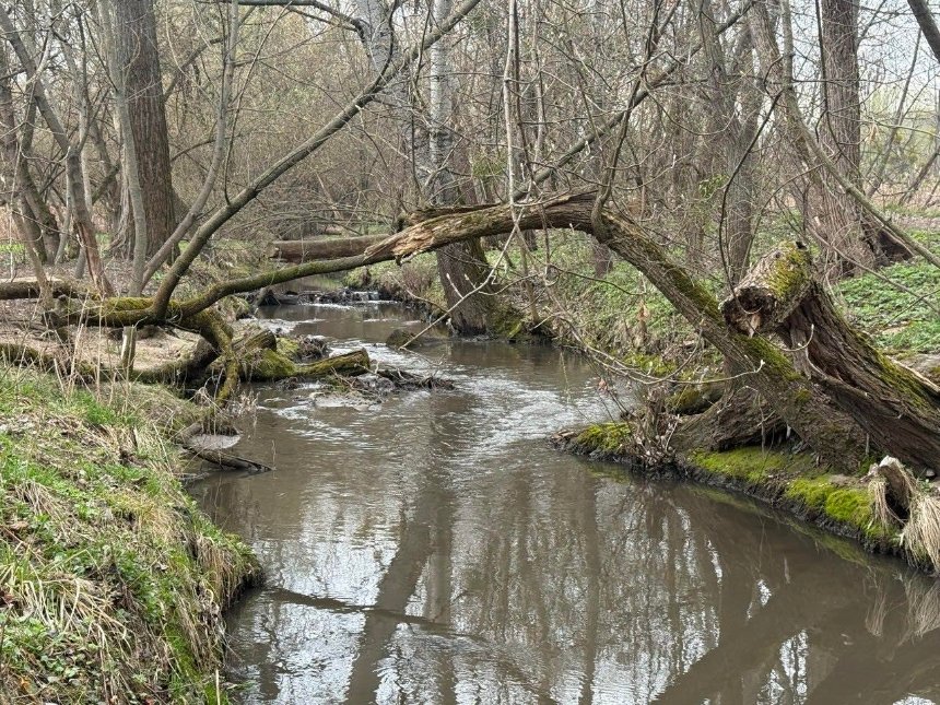 Фото: Дмитро Перов Фото: Дмитро Перов
