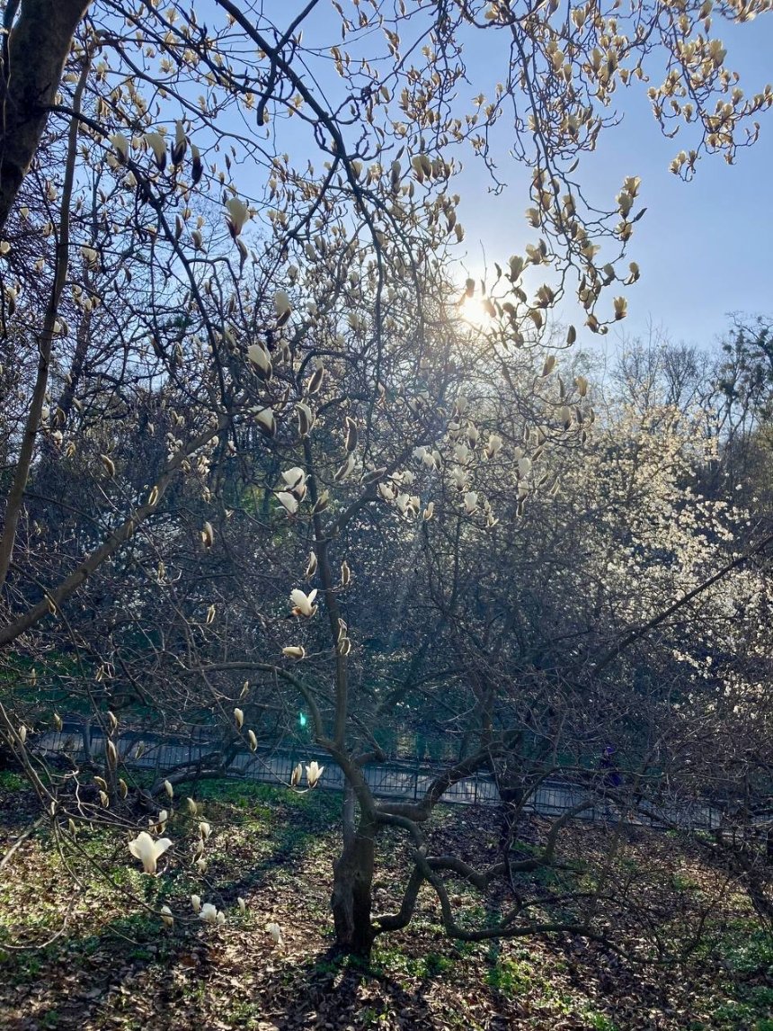 Фото: Наш Київ