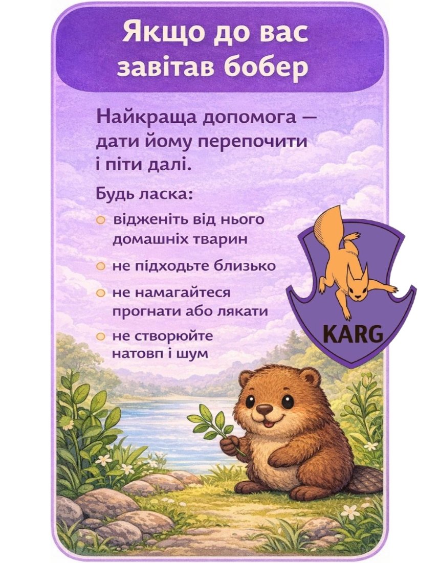 Що робити, якщо зустріли бобра