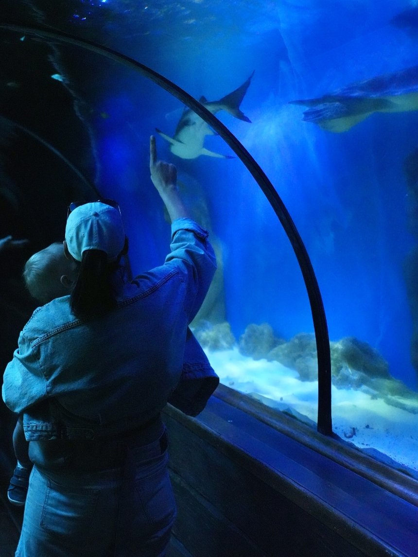 Океанаріум "Морська казка"