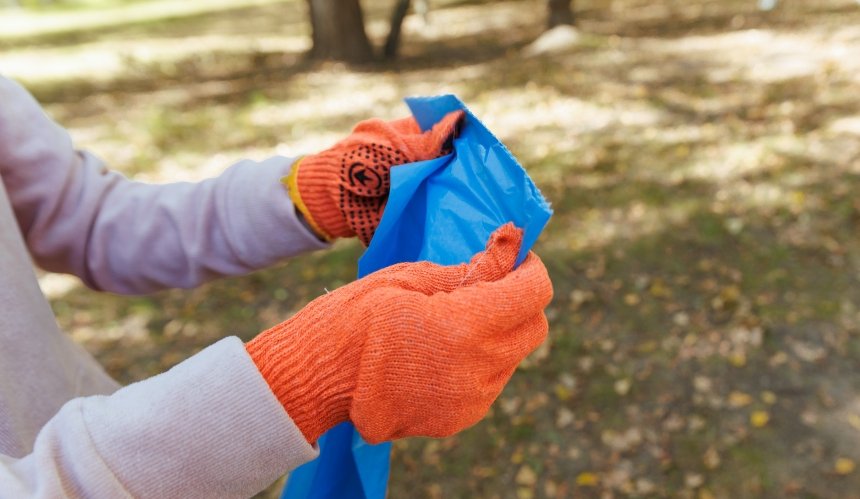 У Києві відбудеться масштабна толока до Дня довкілля: коли та де