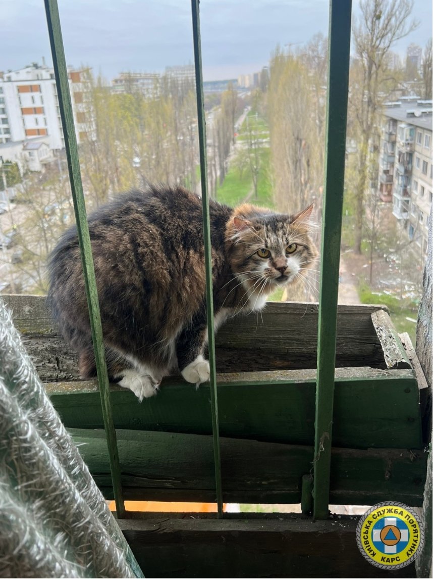 Як рятувальники розбирають аварійні конструкції після нічної атаки