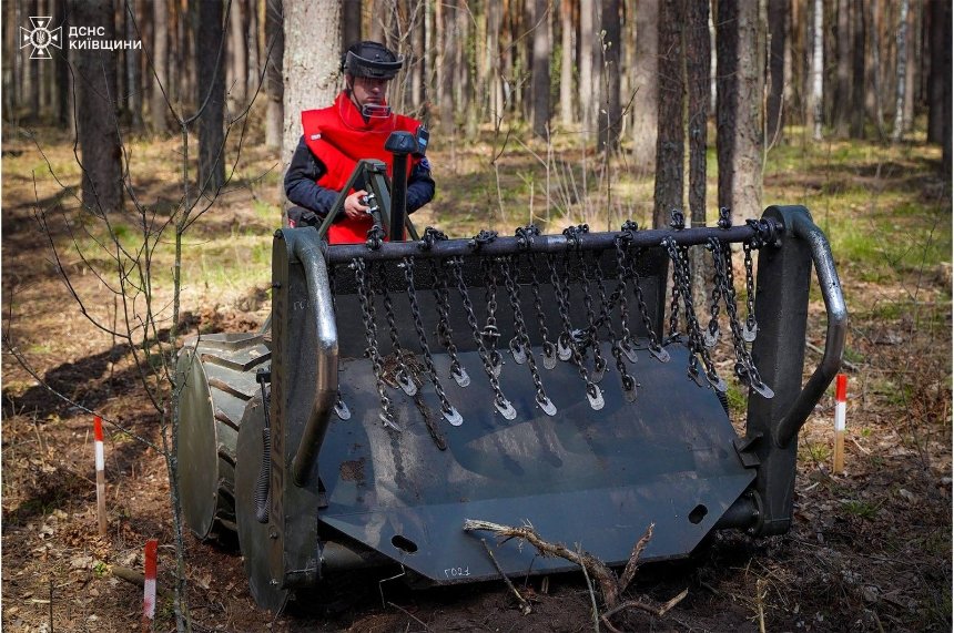 На Київщині висадили новий ліс на розмінованих територіях