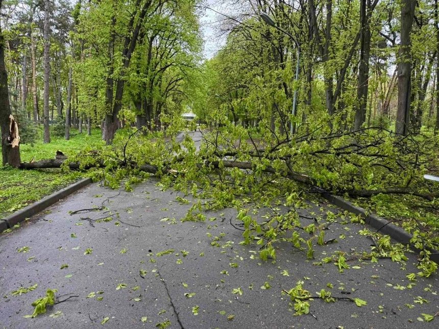 У Києві ліквідовують наслідки негоди