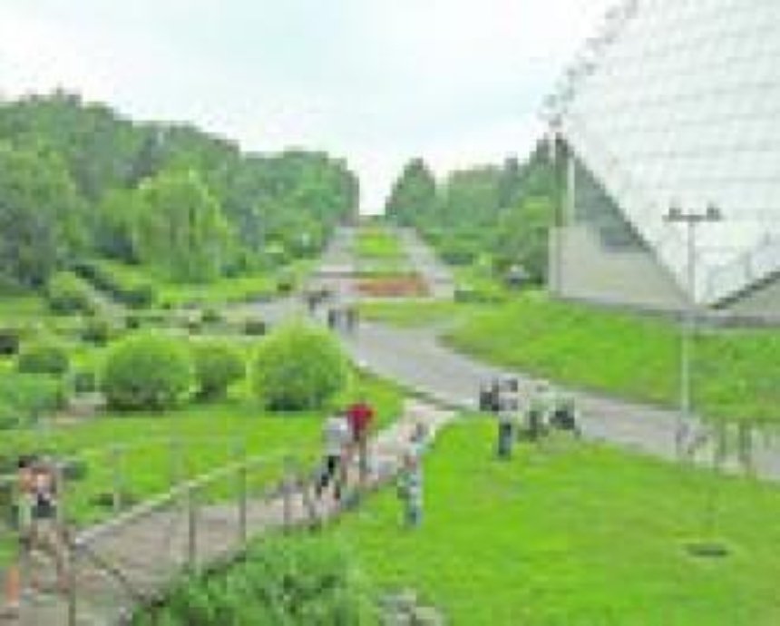 В Ботаническом саду Киева появится украинский сад