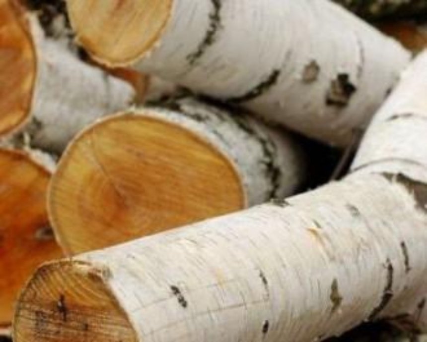 Родная дровинушка: как выбрать дрова для шашлыка