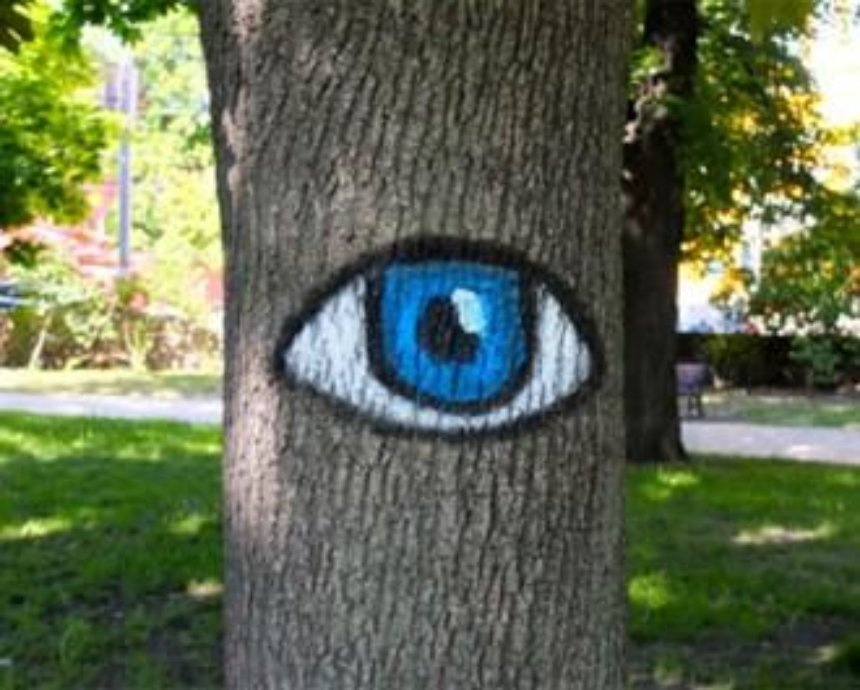 В парке Киеве появились следящие за горожанами деревья (фото)