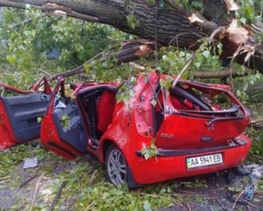 ​В Киеве дерево раздавило автомобиль Mitsubishi. Погиб ребенок