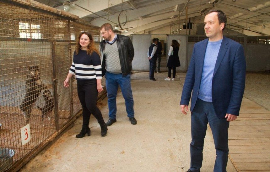 "В Киеве построят новый приют для животных и создадут сайт с базой данных", — зам Кличко