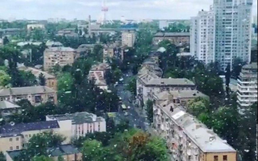 В Киеве посреди мая выпал снег (видео)