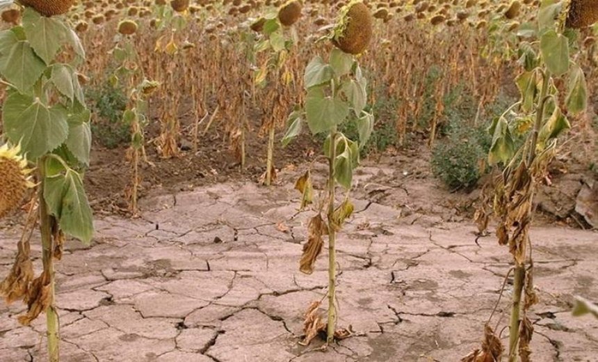 Синоптики предупредили об угрозе весенней засухи