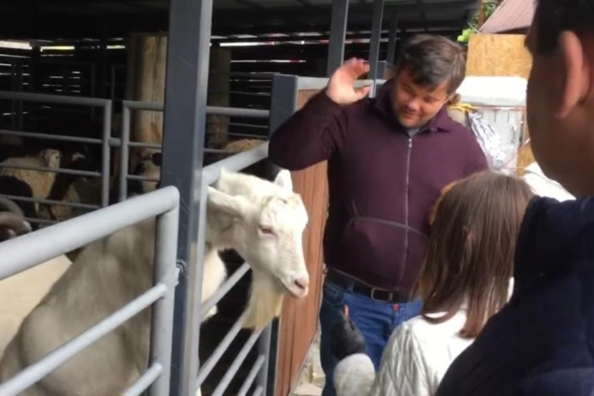 На экс-главу ОП Богдана заявили в полицию из-за жестокого обращения с козлом в зоопарке