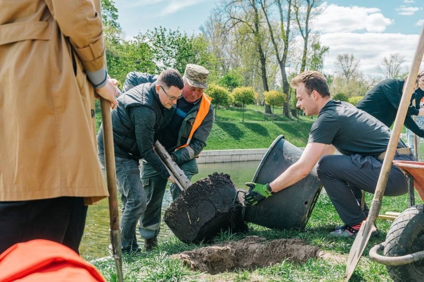 "Солом’янські котики" пропонують киянам посадити сакуру за донат