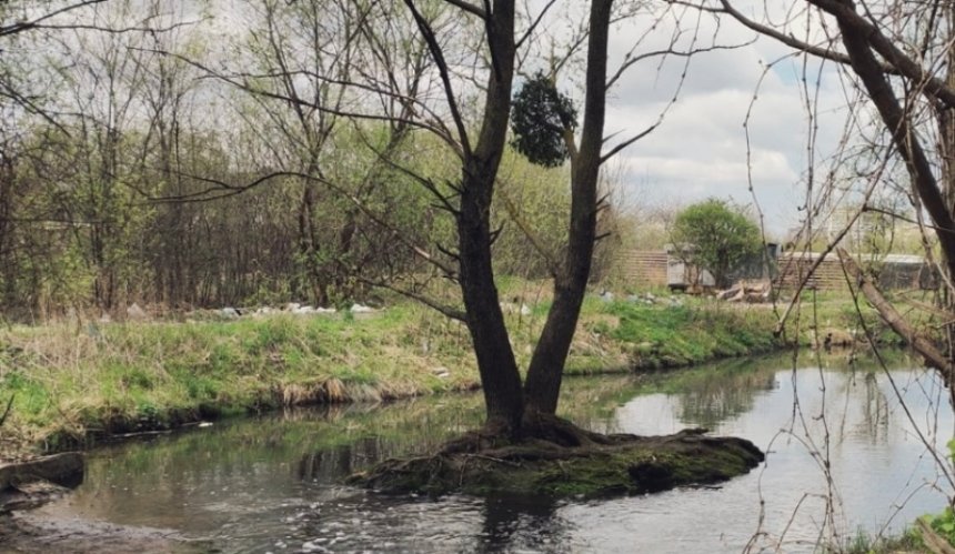 Біля річки Борщагівка проведуть толоку: місце та час