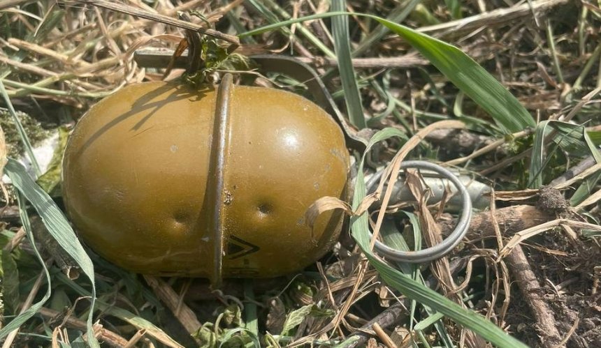 Гостомельчанин під час косовиці трави знайшов гранату РГД—5, яка находилась там із часів окупації. Правоохоронці огородили територію та викликали ДСНС.