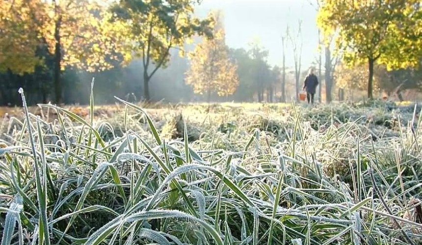 Заморозки вночі: якою буде погода в Києві на вихідні