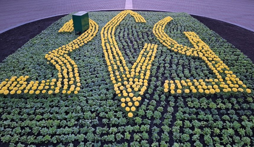 У Києві в парку "Перемога" створили квітник "ДНК нації" та "ЗСУ": фото