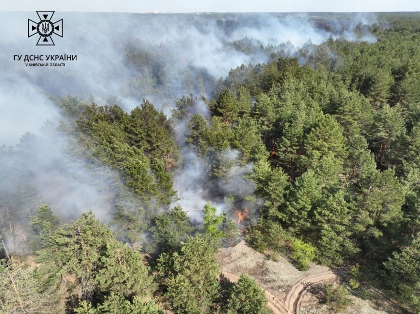 У Вишгородському районі Київської області локалізували масштабну пожежу лісової підстилки площею 15 гектарів.