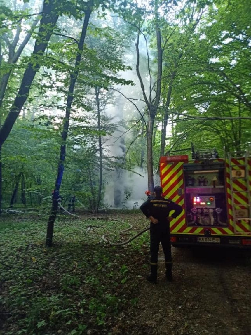 У Києві в Голосіївському лісі невідомі підпалювали дерева: фото