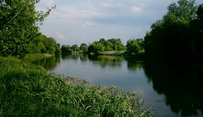 На Київщині виявили незаконну забудову з проведеною у річку каналізацією: відео