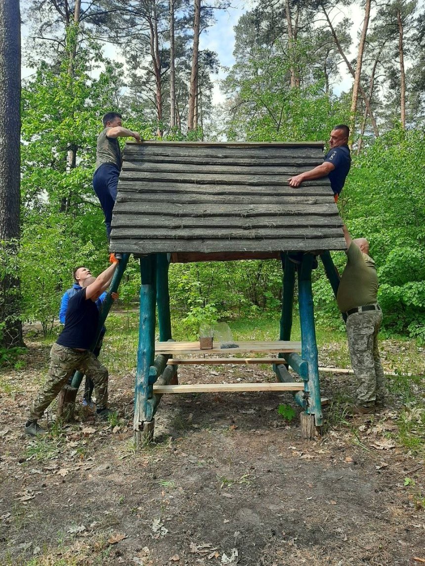 Кияни провели толоку в Святошинському лісництві