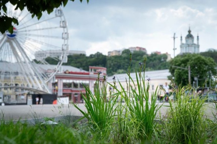 У Києві почали створювати дощові садки: що це та як вони виглядають