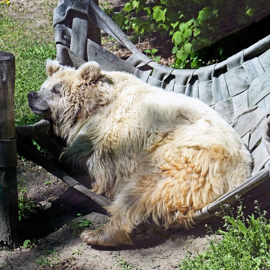 Фото: Київський зоопарк