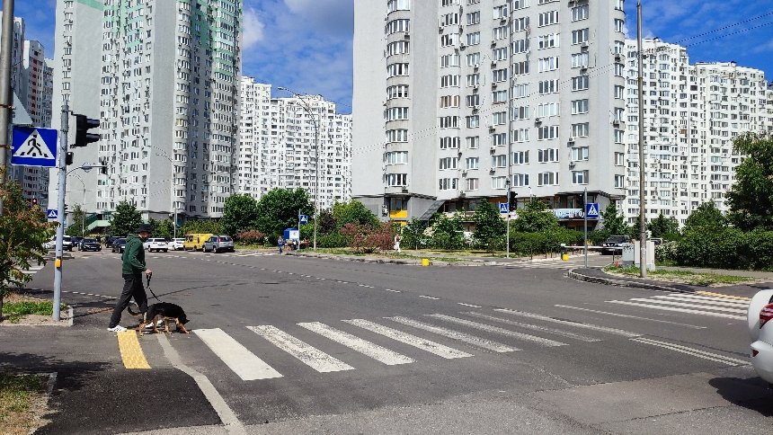 Фото: КМДА
