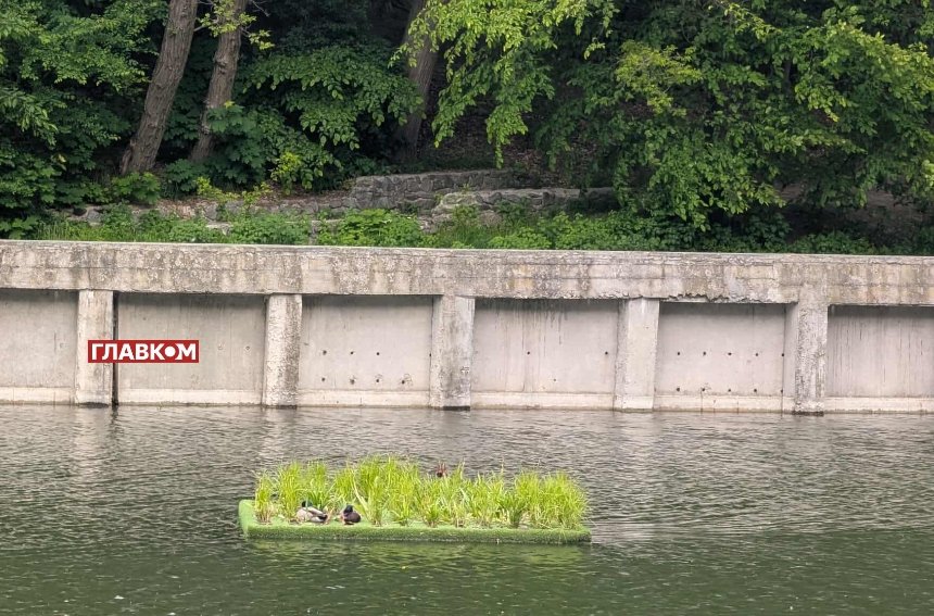 Фото: "Главком"