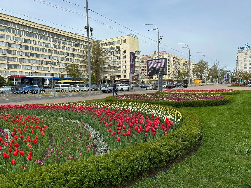 На площі&nbsp;Лесі Українки у Києві розквітли&nbsp;7,500&nbsp;тюльпанів