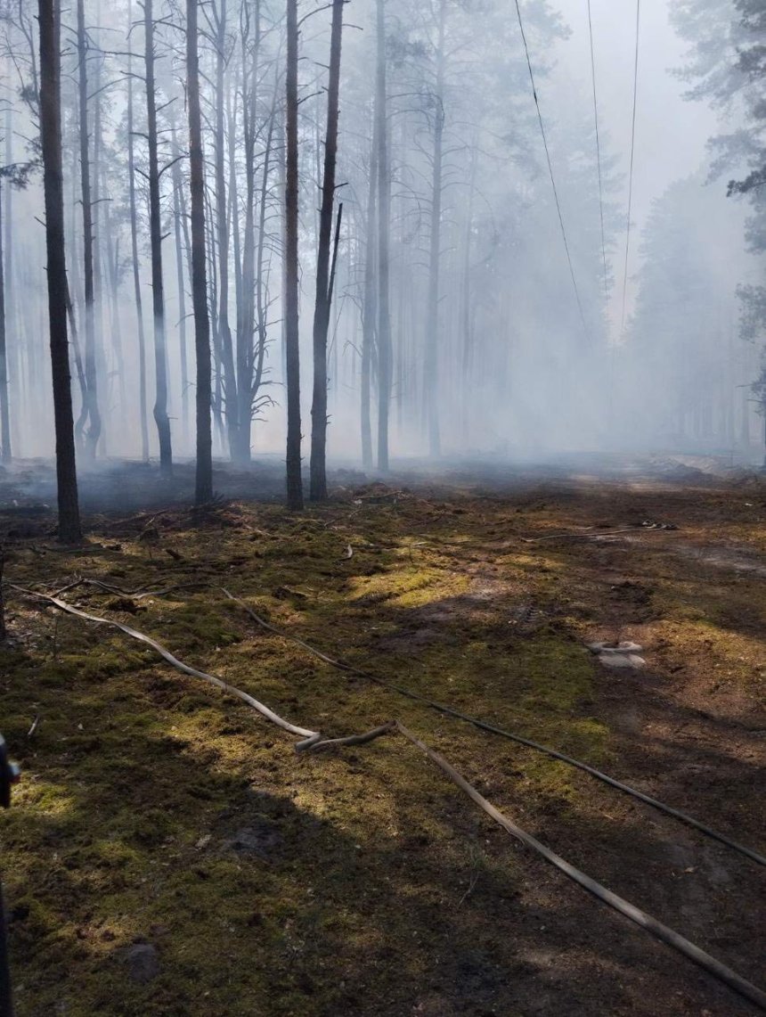 Пожежу в Чорнобильській зоні локалізували