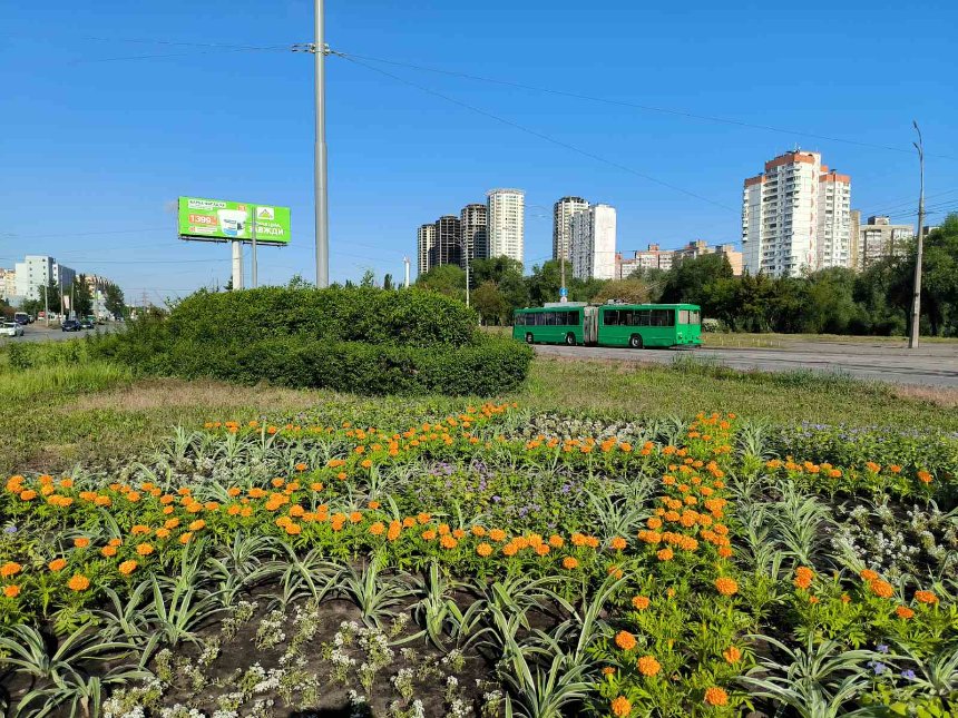 У Києві до Дня вишиванки висадили тематичні клумби У Києві до Дня вишиванки висадили тематичні клумби