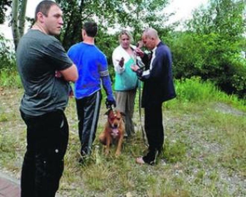 На Оболони в Киеве бойцовский пес без намордника порвал трех собак