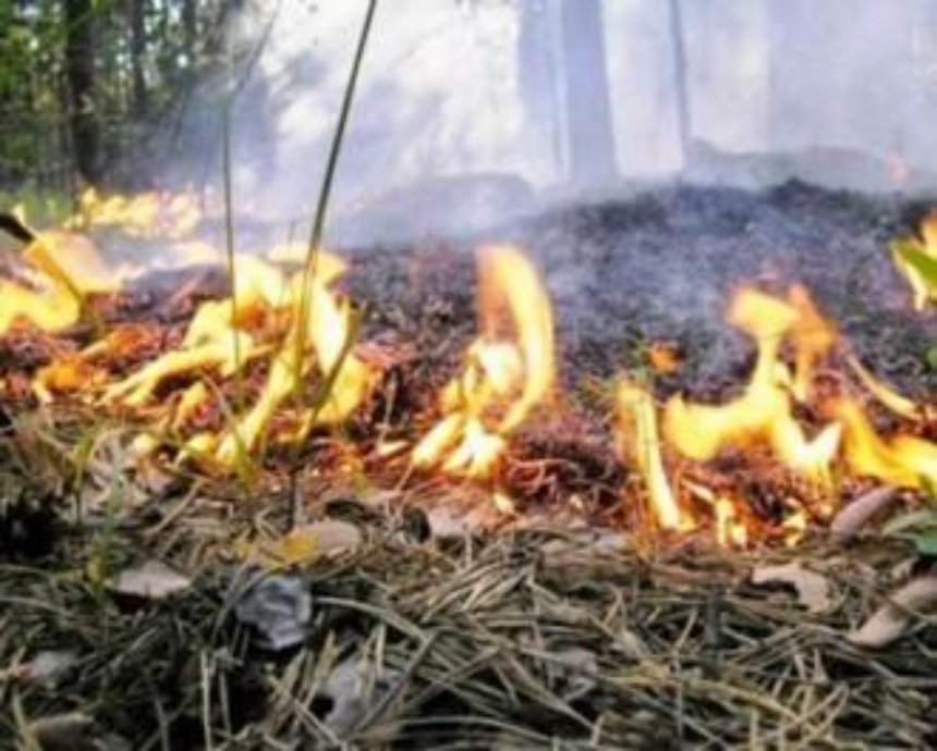В Киеве ожидается чрезвычайный уровень пожарной опасности