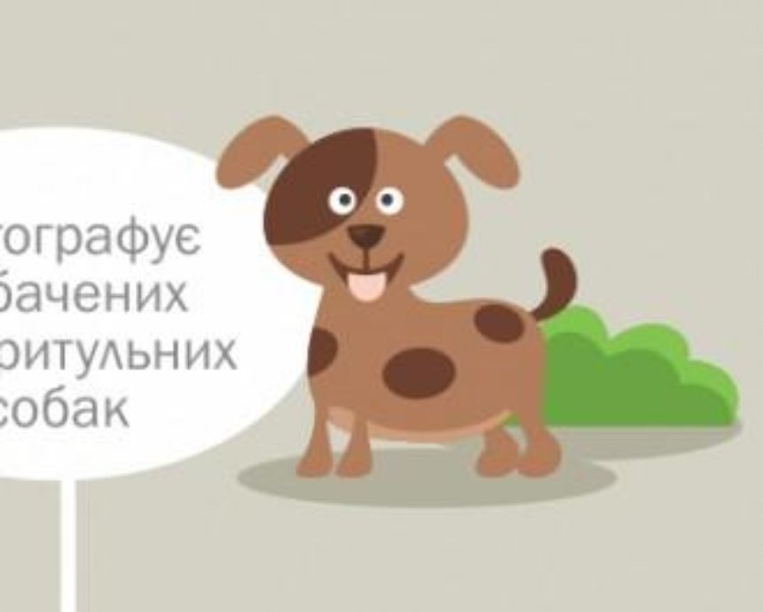У Києві вперше відбудеться підрахунок собак