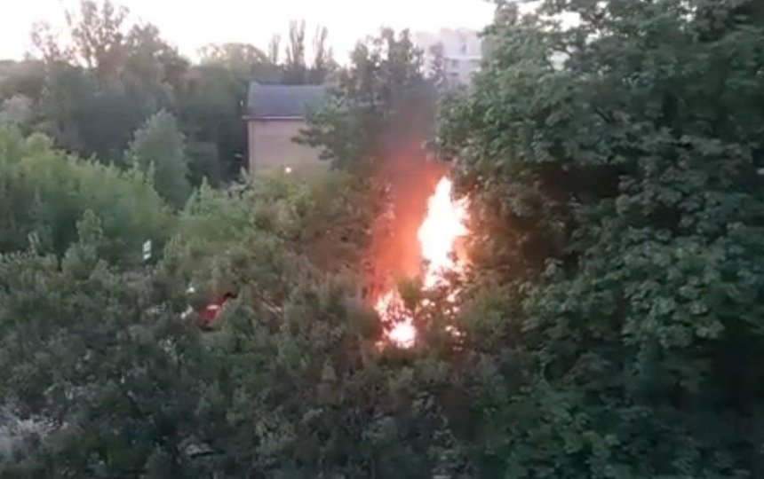 На территории киностудии Довженко произошел пожар (видео)