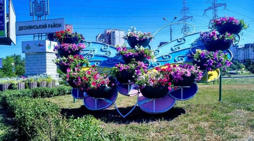 В одном из районов Киева появились цветочные бабочки (фото)